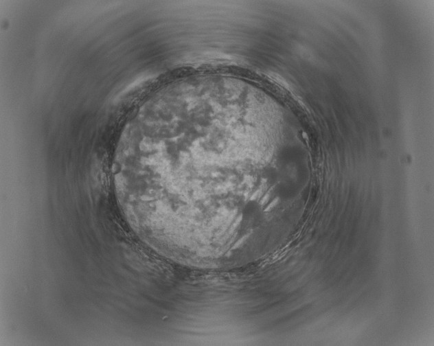 X0000070361063200606231617