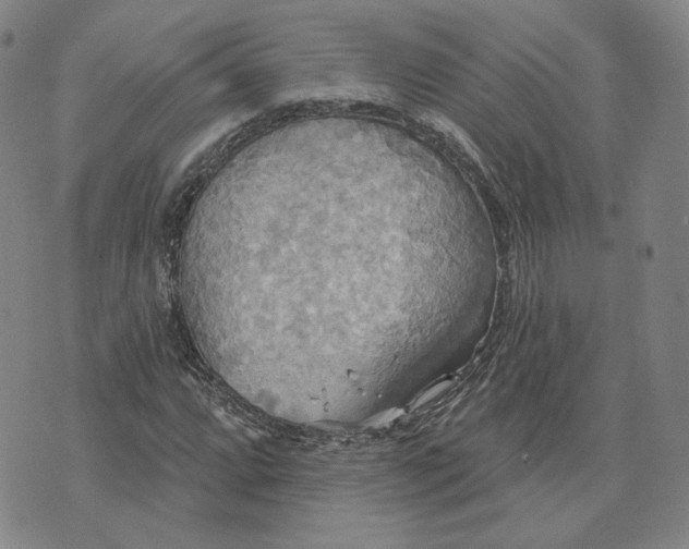 X0000070361064200606231617