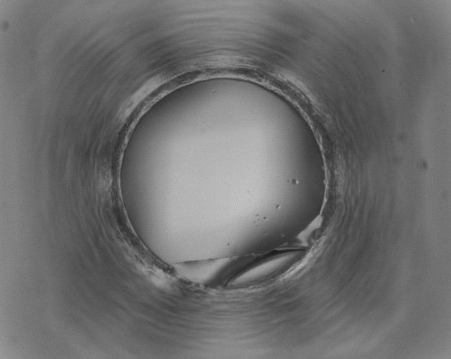 X0000070361065200606231617