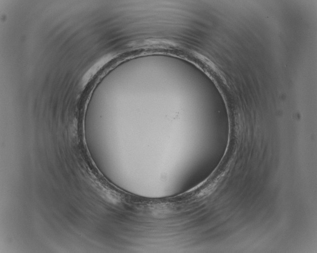 X0000070361066200606231616