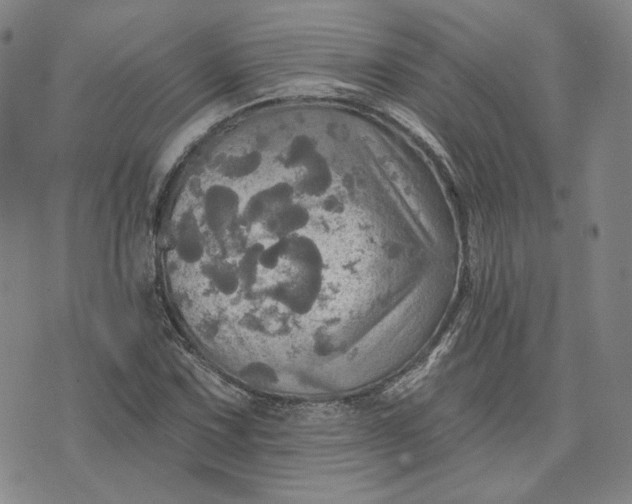 X0000070361067200606231616