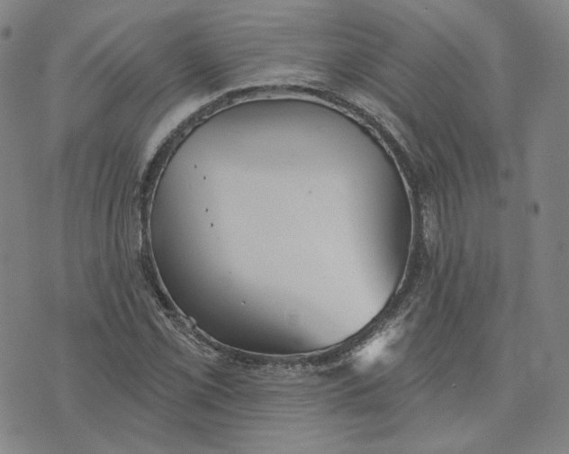 X0000070361069200606231616