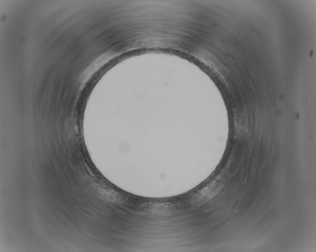 X0000070361070200606231616