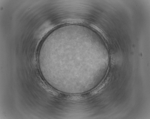 X0000070361074200606231616