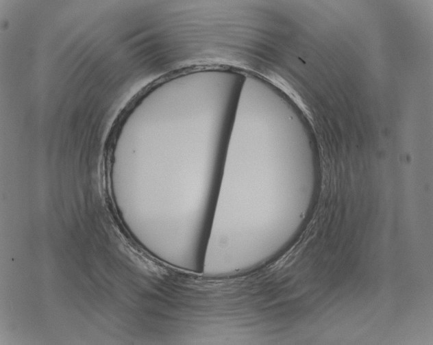 X0000070361076200606231616