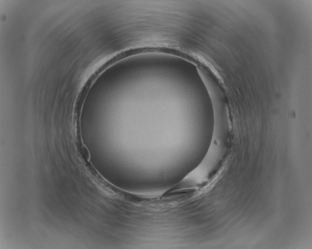 X0000070361077200606231616