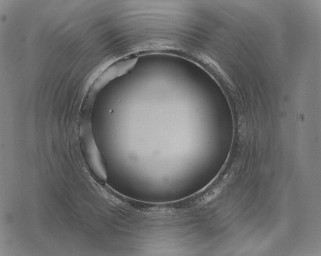 X0000070361081200606231616