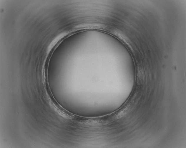 X0000070361082200606231616