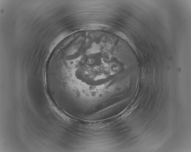 X0000070361083200606231616