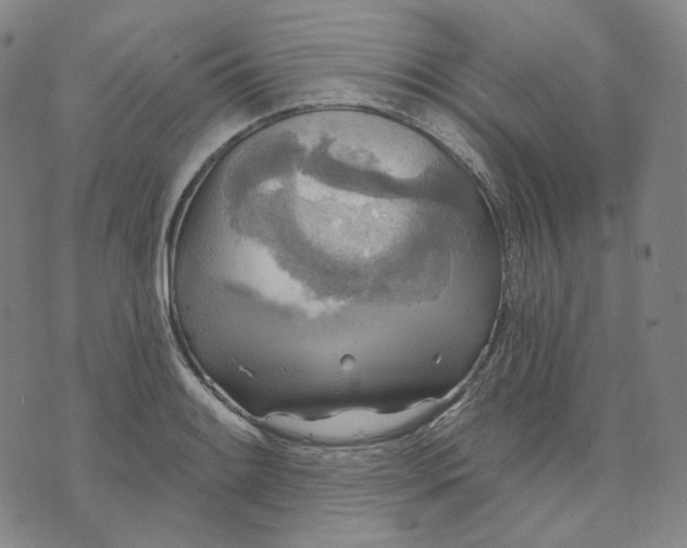 X0000070361084200606231616