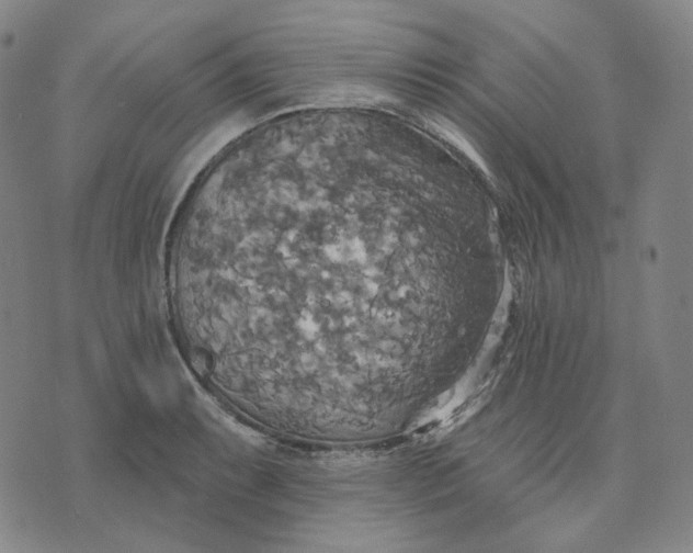 X0000070361087200606231616