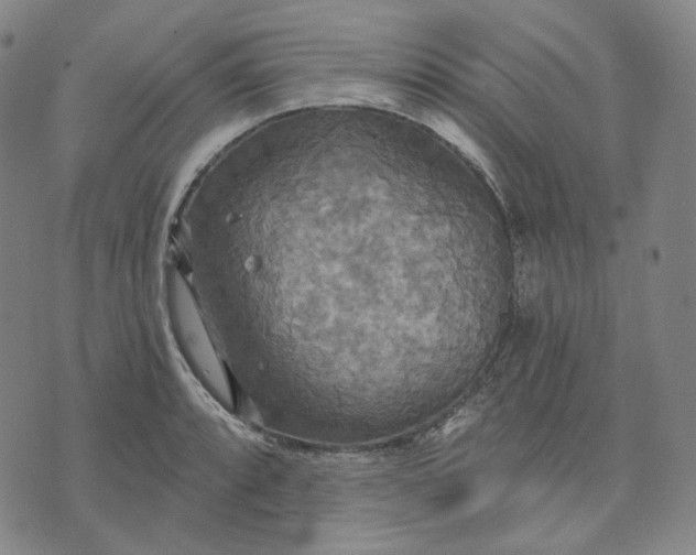 X0000070361088200606231616