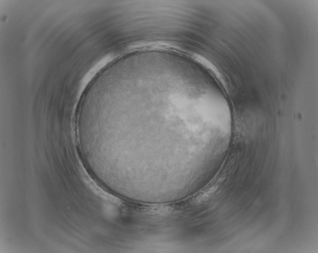 X0000070361090200606231616