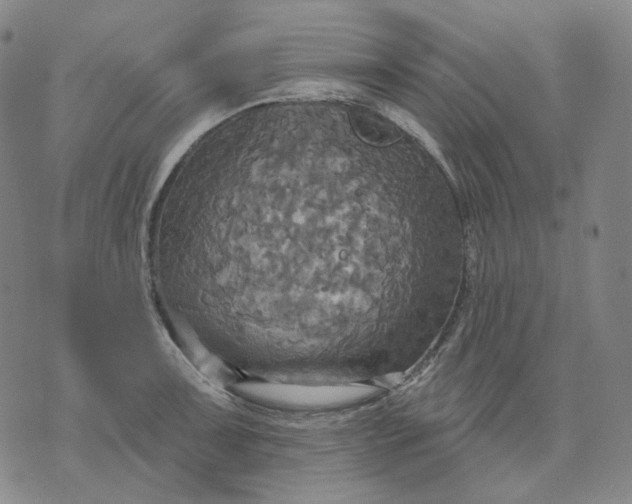 X0000070361091200606231616