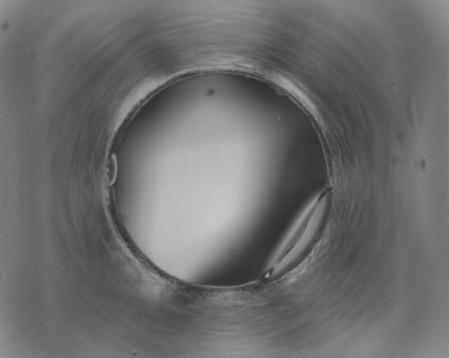 X0000070361093200606231616