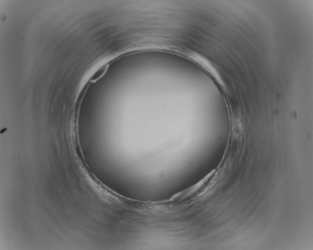 X0000070361101200606231616