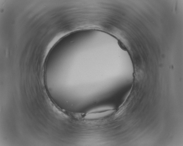 X0000070361102200606231616