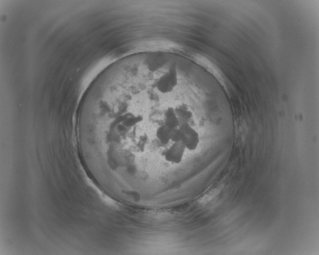 X0000070361103200606231616