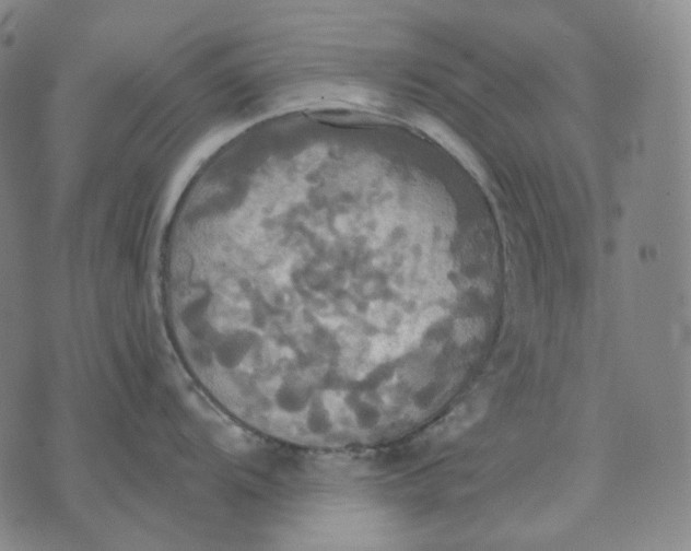 X0000070361104200606231616