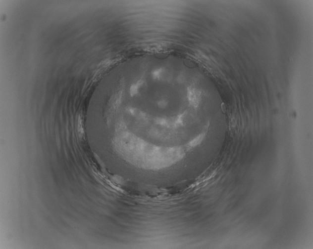 X0000070361106200606231615