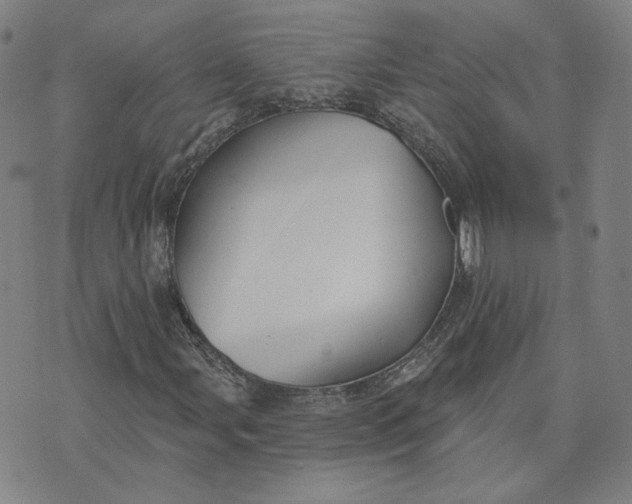 X0000070361107200606231615