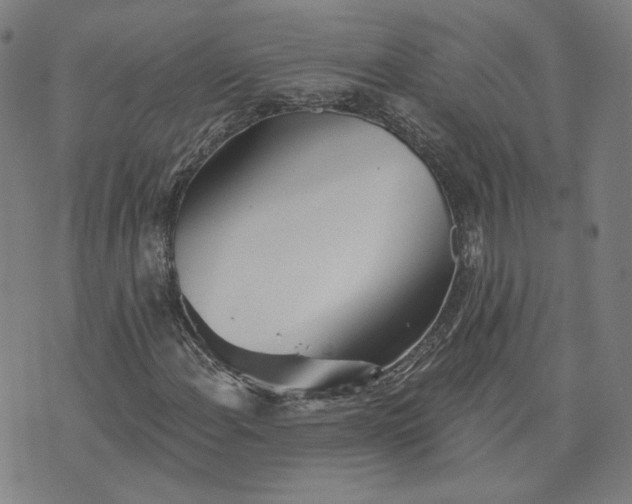 X0000070361108200606231615