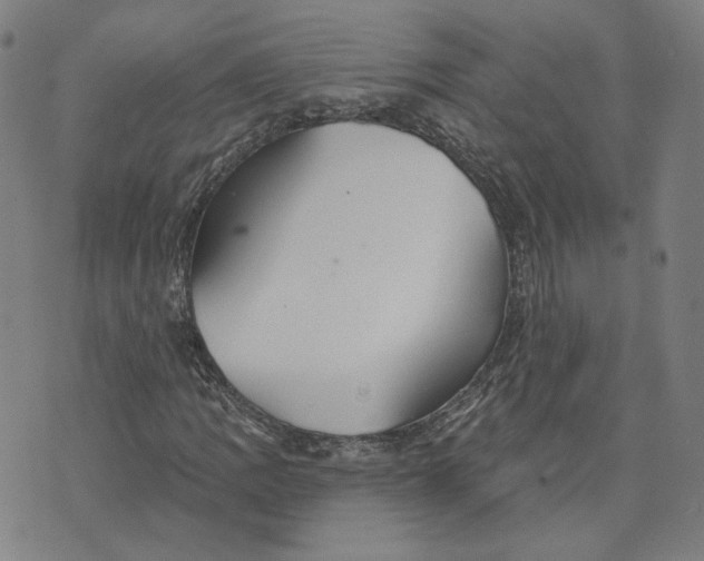 X0000070361109200606231615