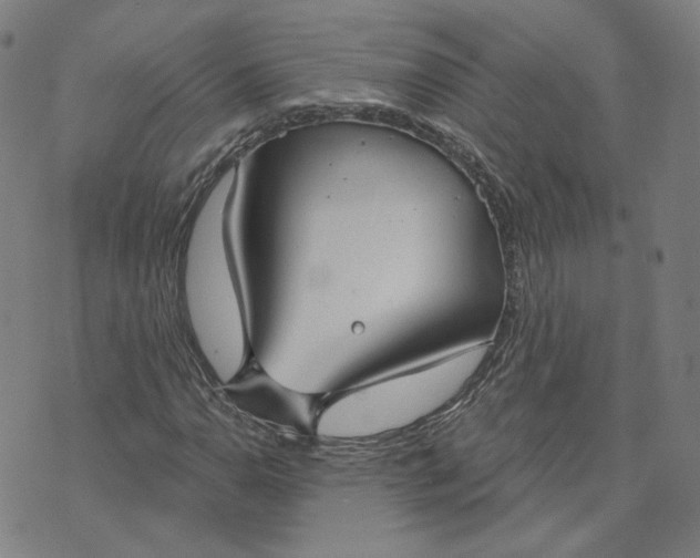 X0000070361110200606231615