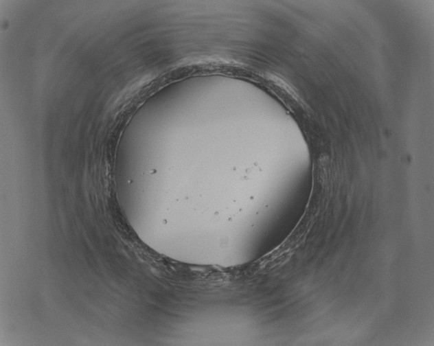 X0000070361111200606231615