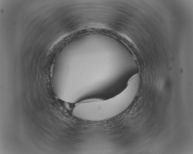 X0000070361112200606231615