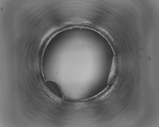 X0000070361114200606231615