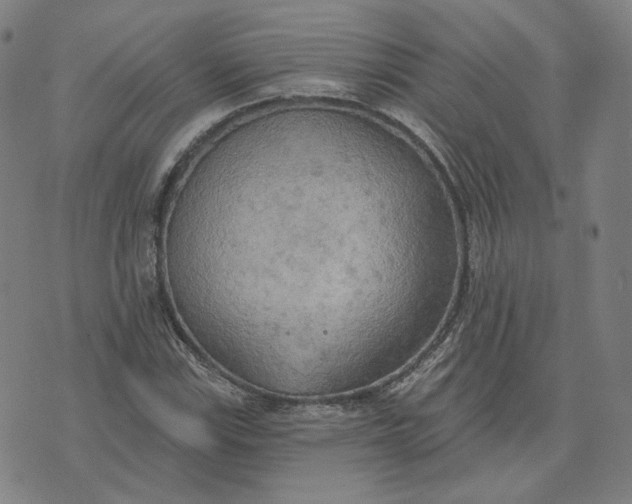 X0000070361115200606231615