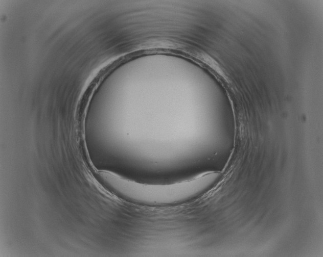 X0000070361116200606231615