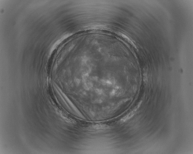 X0000070361117200606231615