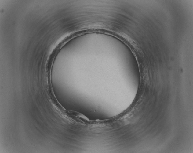 X0000070361118200606231615