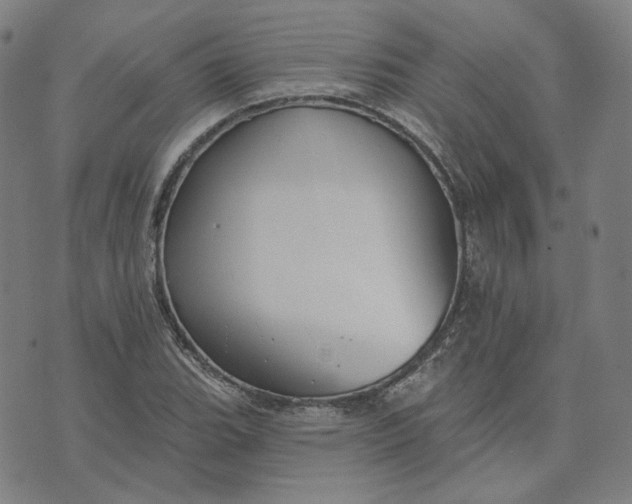 X0000070361119200606231615