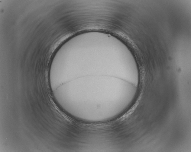 X0000070361121200606231615