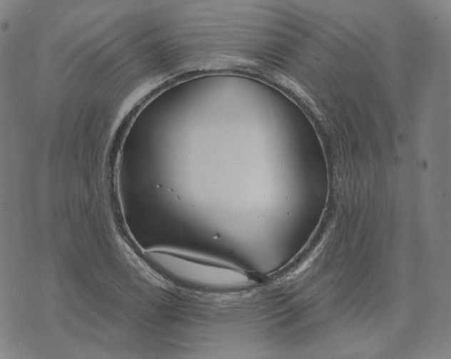 X0000070361122200606231615