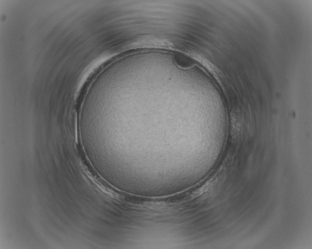 X0000070361123200606231615