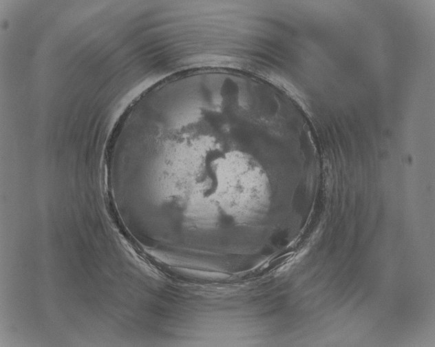 X0000070361125200606231615