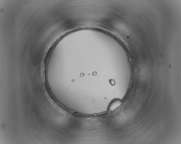 X0000070361126200606231615