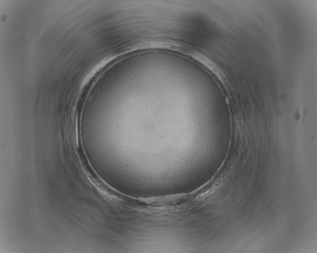 X0000070361127200606231615