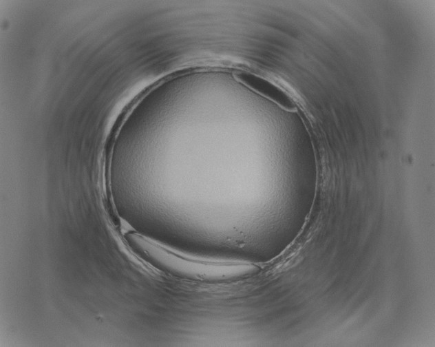 X0000070361128200606231615