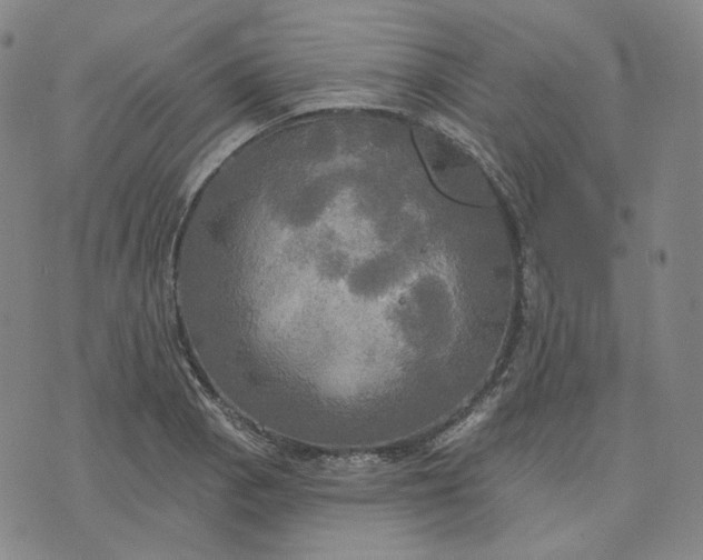 X0000070361129200606231615