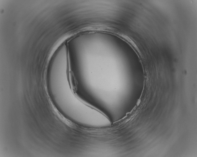 X0000070361131200606231616