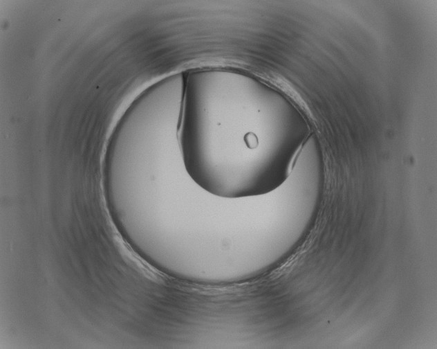 X0000070361132200606231616