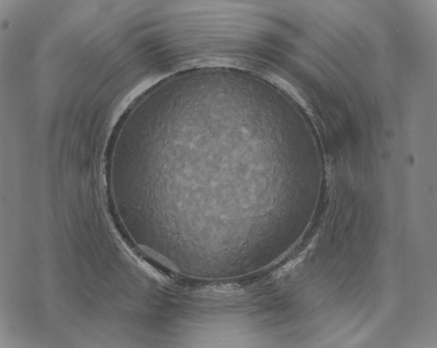 X0000070361133200606231616