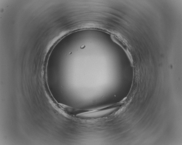 X0000070361134200606231616