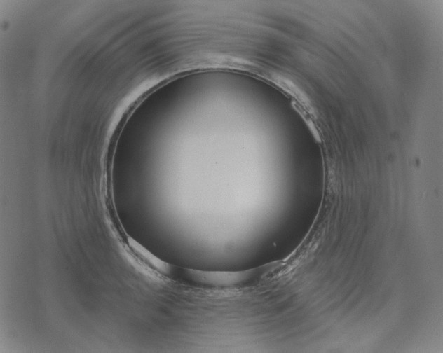 X0000070361136200606231616