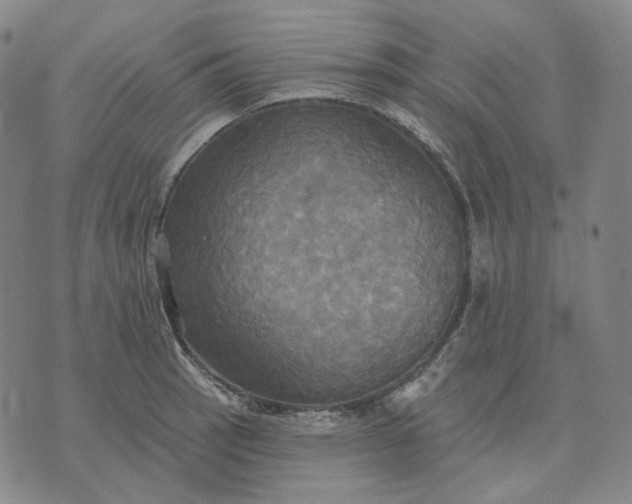 X0000070361137200606231616